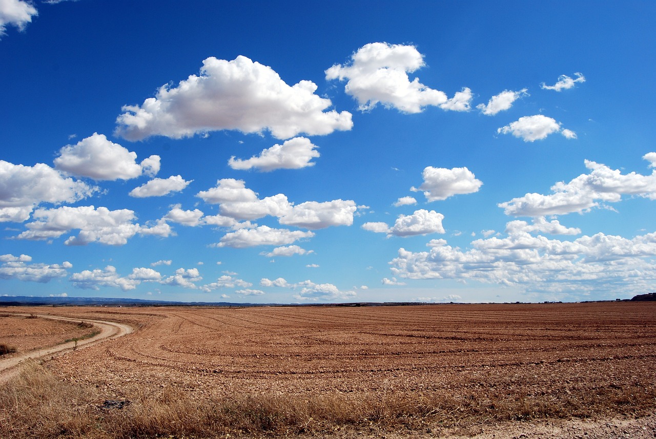 field, land, clouds-533541.jpg