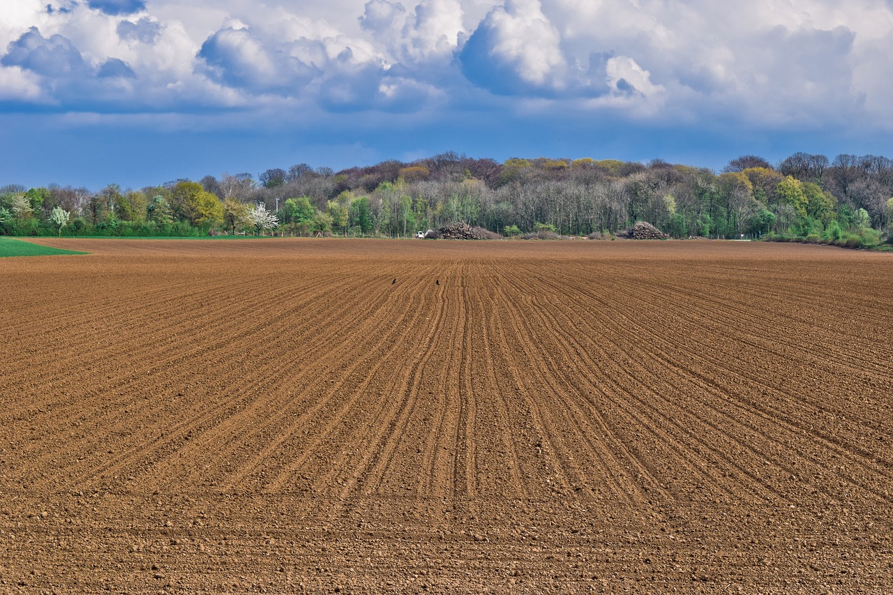 landscape, field, heaven-4137886.jpg