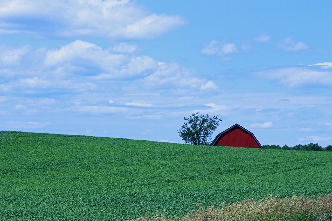 maine, scenic, landscape-4370519.jpg