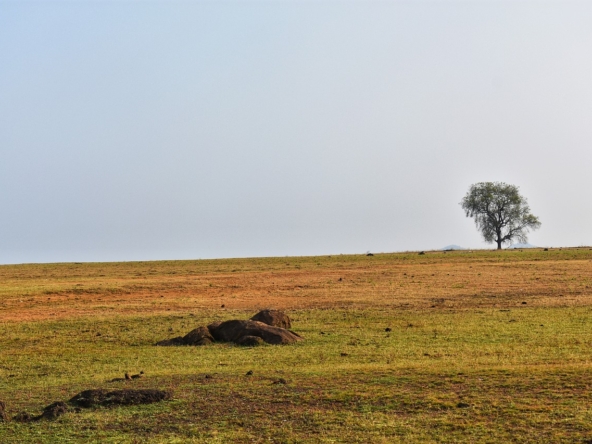 landscape, balod, chhattisgarh