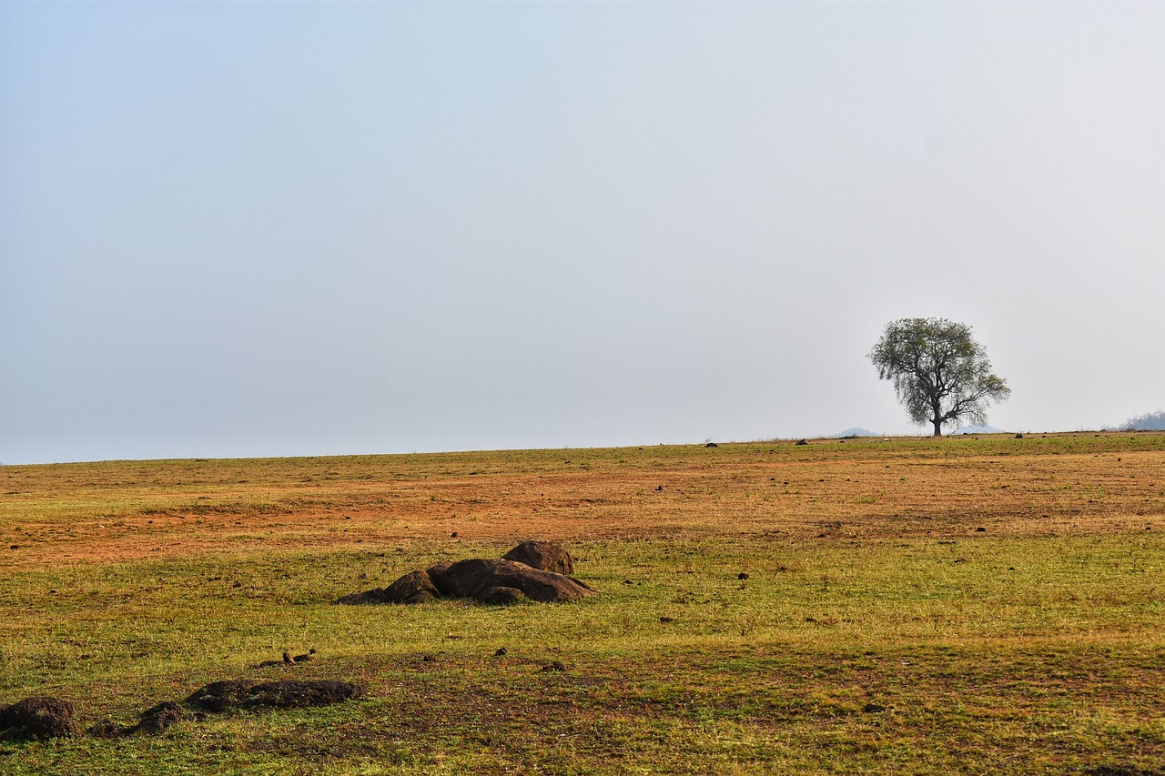 landscape, balod, chhattisgarh