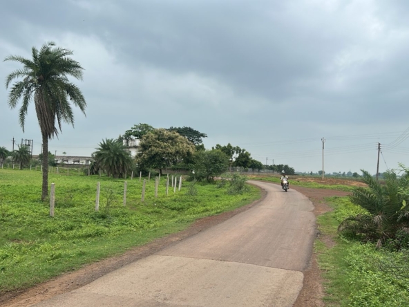 Agricultural Land in Khauna Raipur
