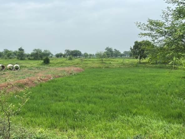 Residential Plot in Boria Kalan