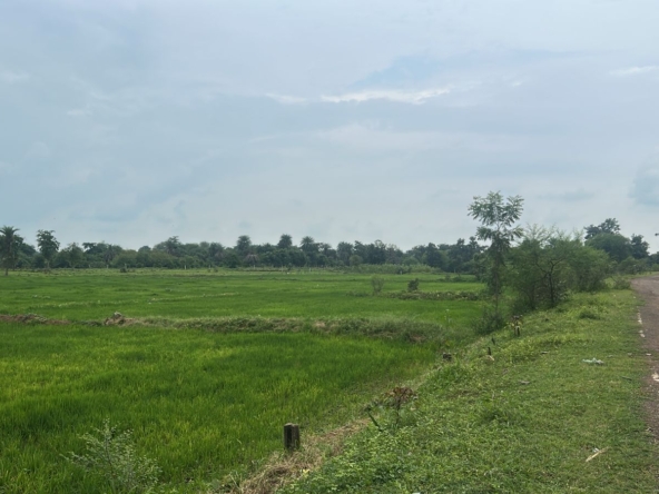 Agricultural land in Dindori MP