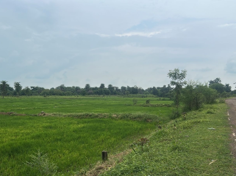 Agricultural land in Dindori MP