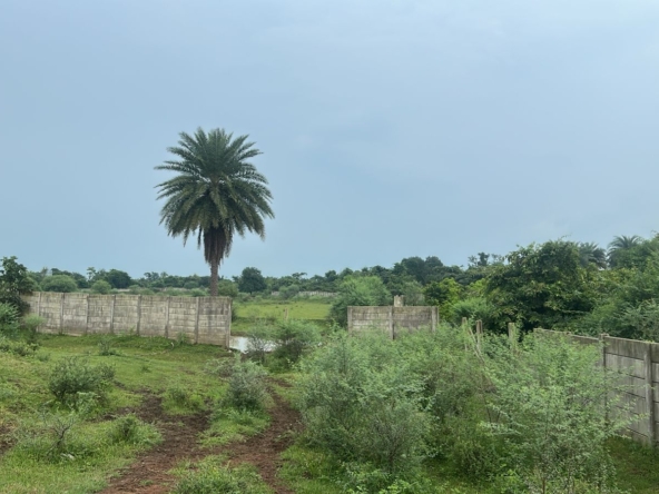 Agricultural Land in Sivni Nara