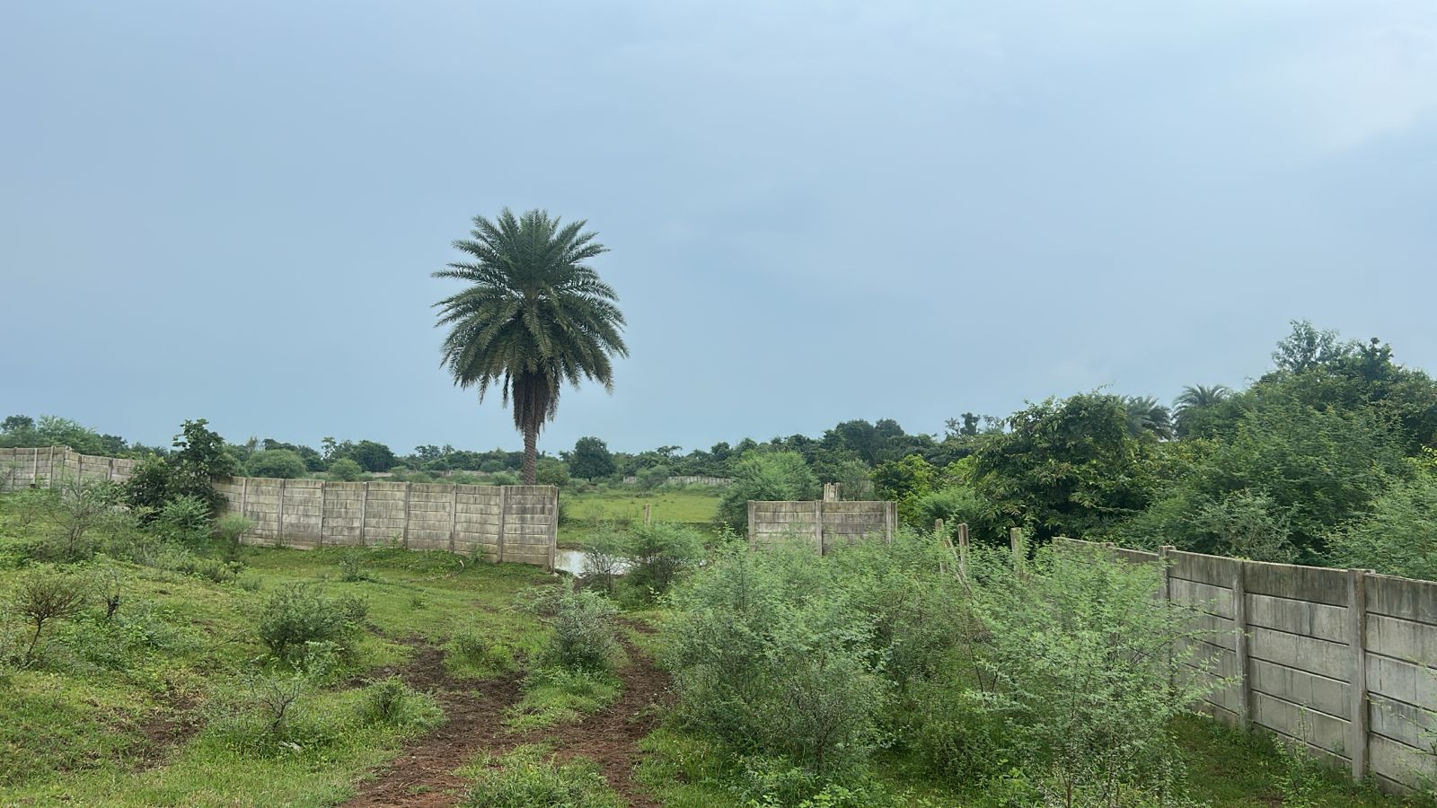 Agricultural Land in Sivni Nara