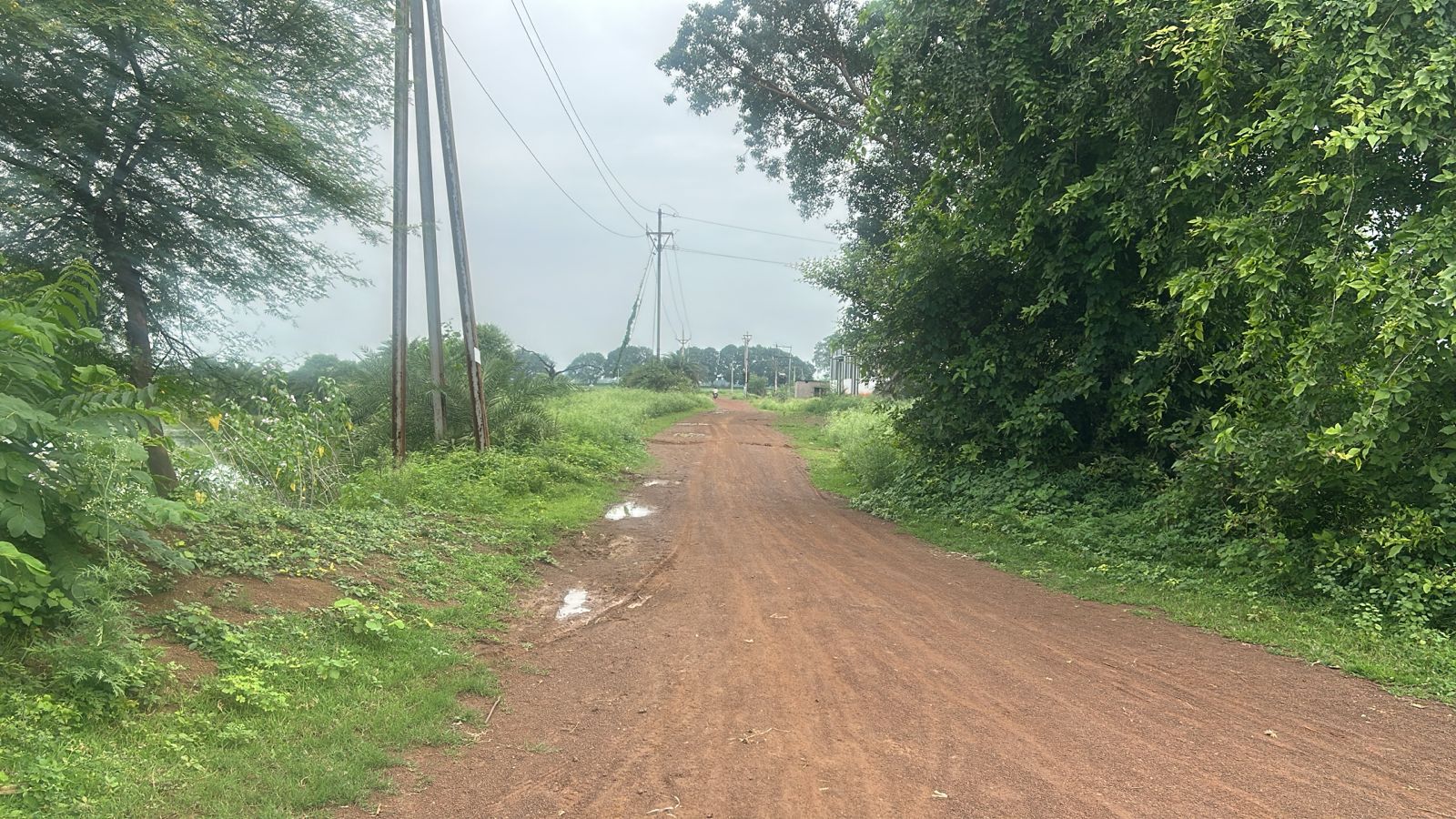 Commercial land in Godhi