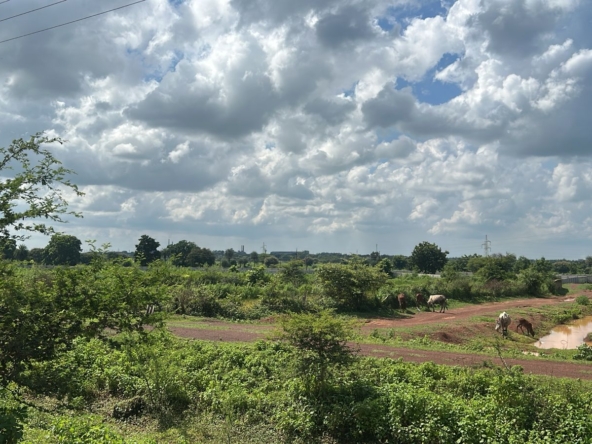 Agricultural Land in Chhatauna Raipur