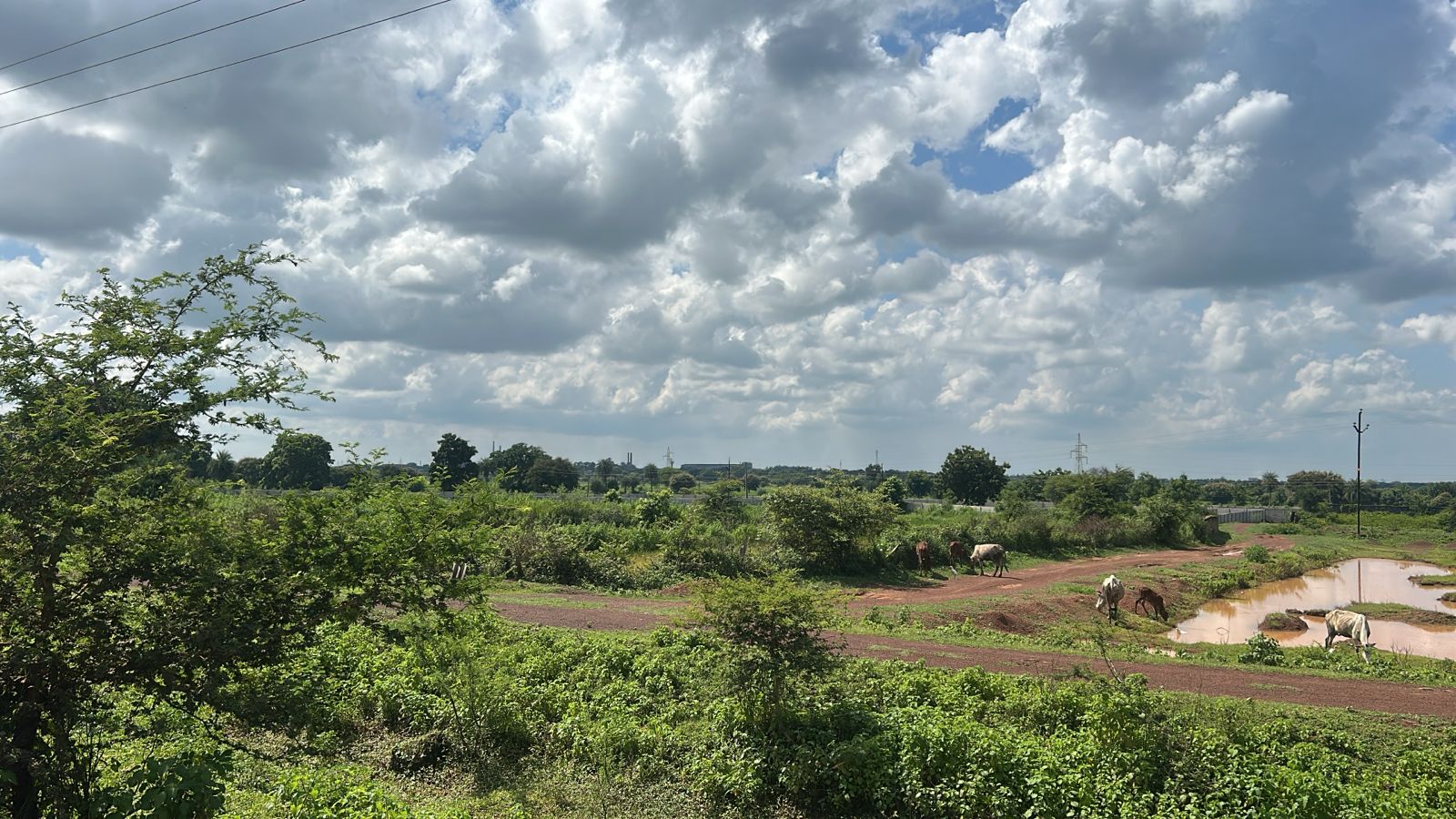 Agricultural Land in Chhatauna Raipur