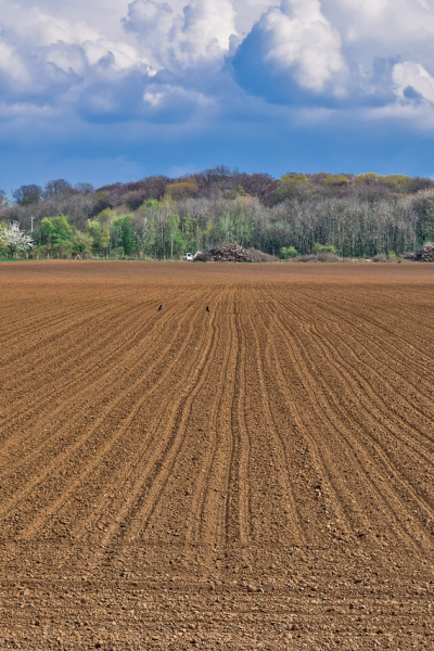 landscape, field, heaven-4137886.jpg